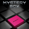 Mystery Box - Leggings